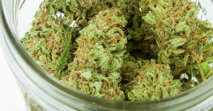 Medical marijuana in Rhode Island