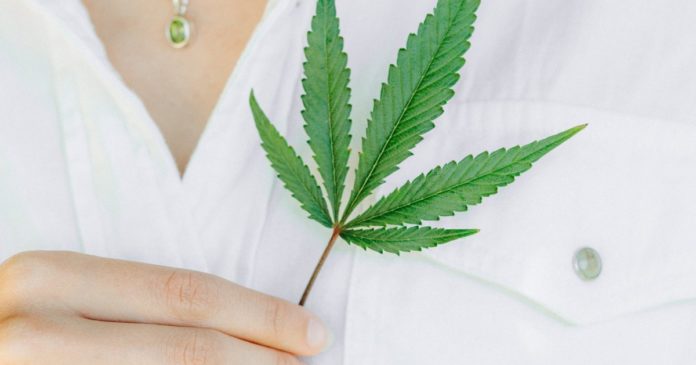 Medical cannabis Iowa