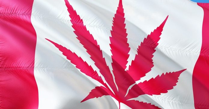 Medical cannabis and Canadian veterans.