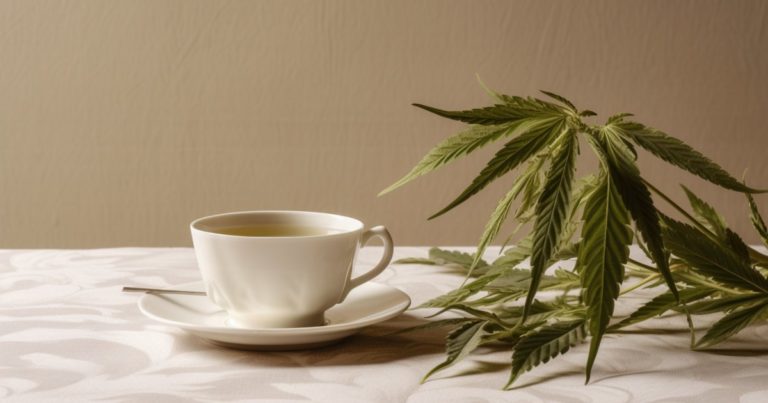 Hemp leaf tea - EU