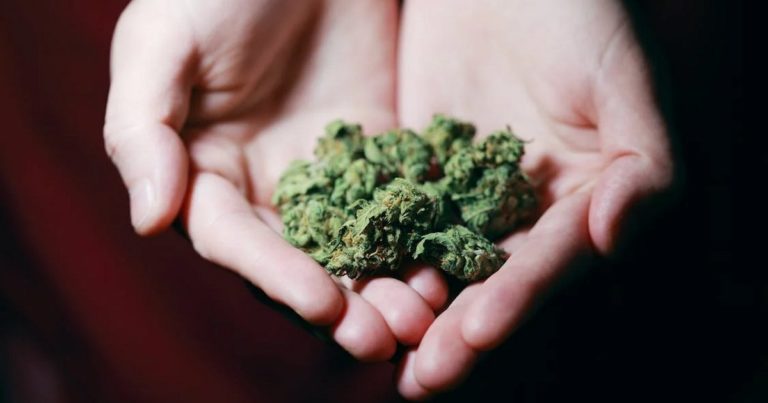 Medicinal cannabis in Minnesota