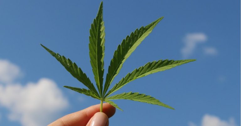 Cannabis in Western Australia