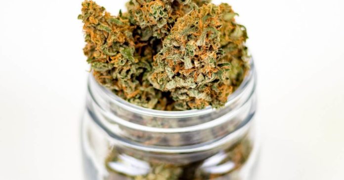 Legal marijuana in Montana