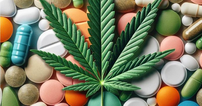 Cannabis and opioid use disorder