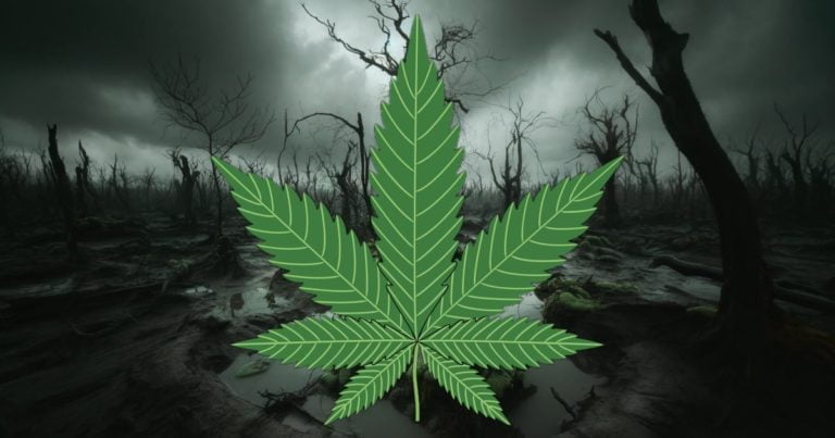 Alabama medical cannabis licensing