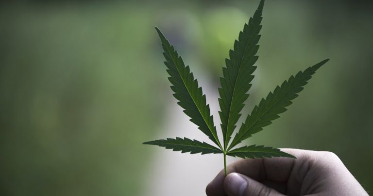 Hemp processing in Alberta