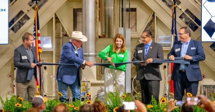 Panda biotech hemp gin opening