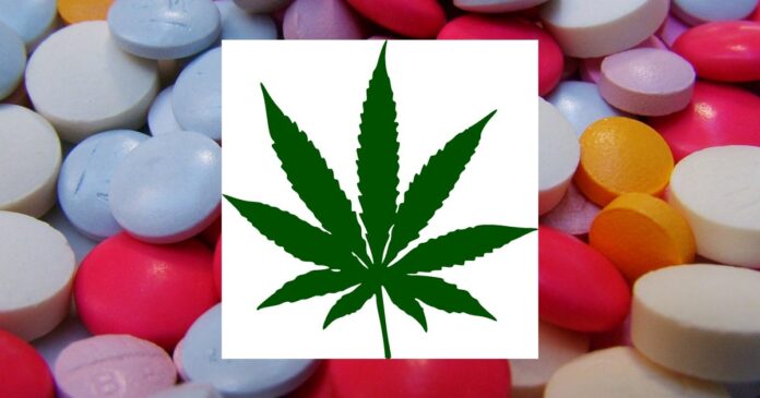 Marijuana and prescription pain medication use.