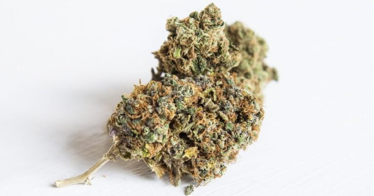 Missouri marijuana sales