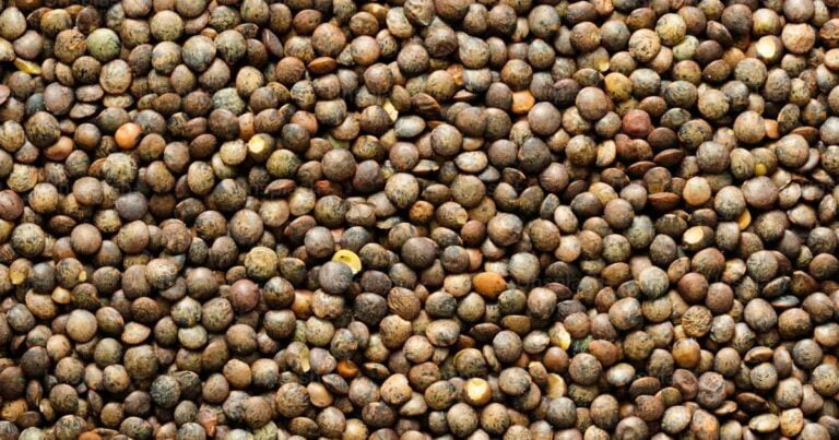 Hemp seed feed for animals - Australia