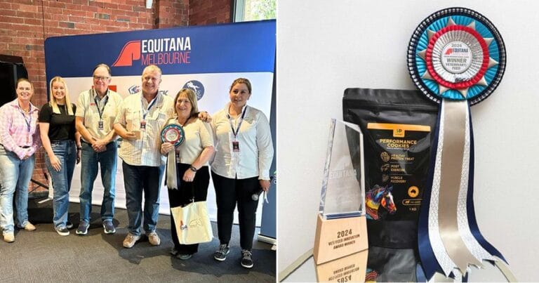 Hemp cookies for horses