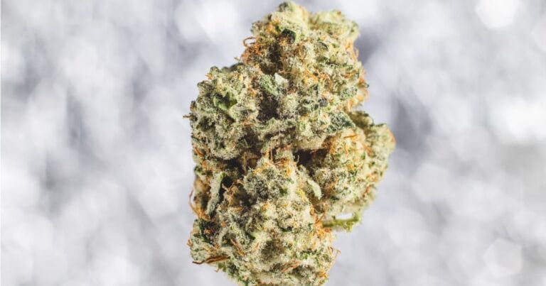 Medical marijuana in Oklahoma