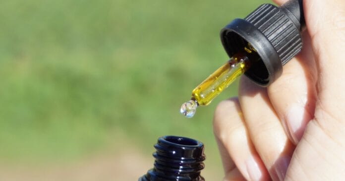 cbd-use-usa CBD use in the USA