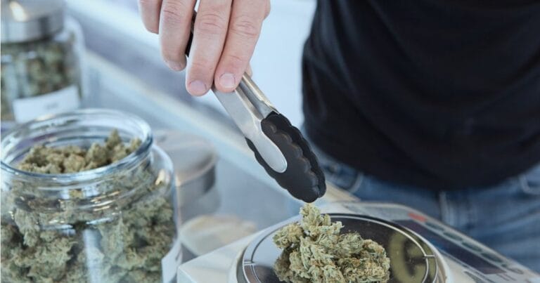 Florida recreational marijuana poll