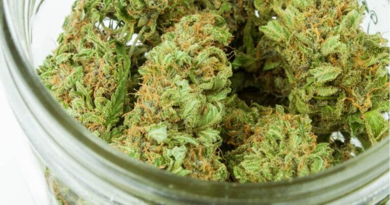 Medical cannabis in Kansas