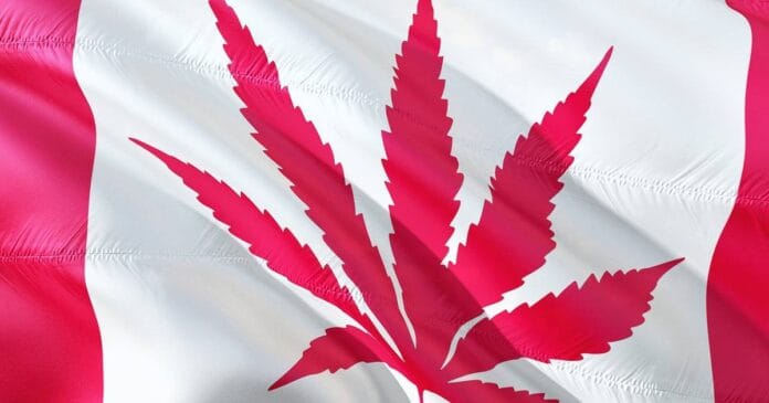 The Canadian flag displaying a cannabis leaf