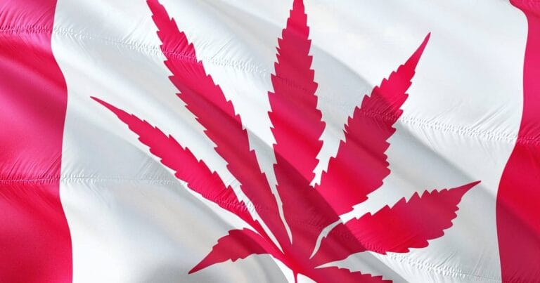 The Canadian flag displaying a cannabis leaf
