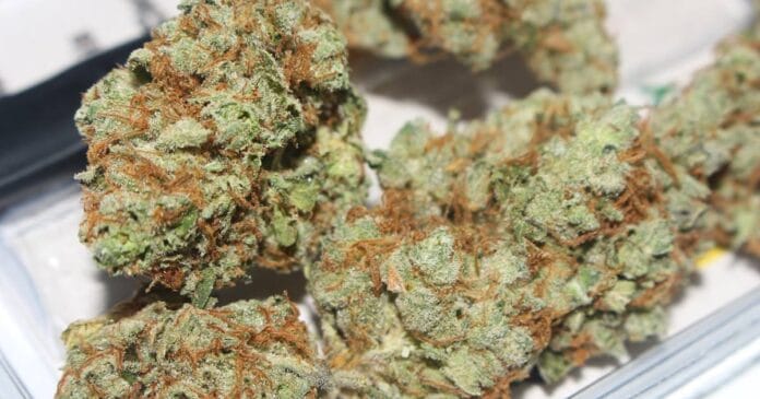 Dried marijuana flower