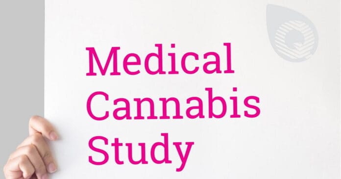 QUEST medical cannabis study - Australia