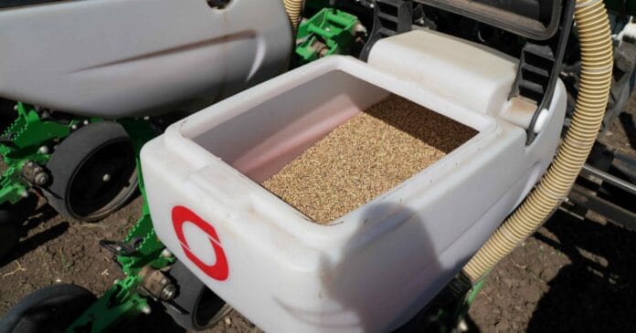 Hemp seed used for sowing Moldova's first crops