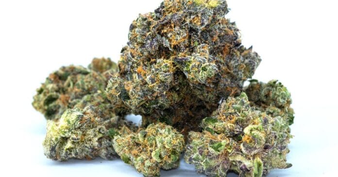 Dried marijuana flower