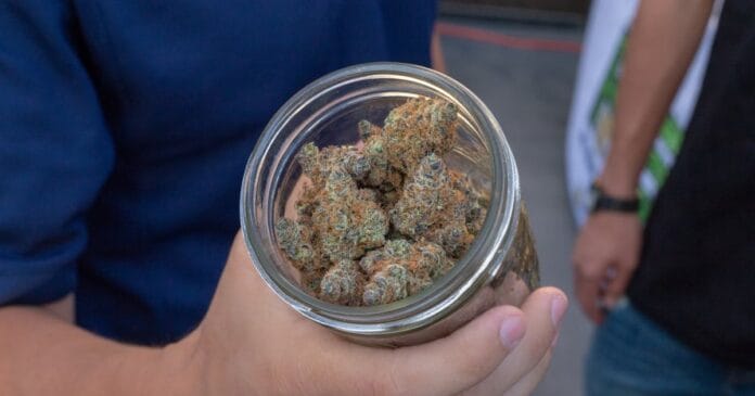 Dried medical cannabis flower