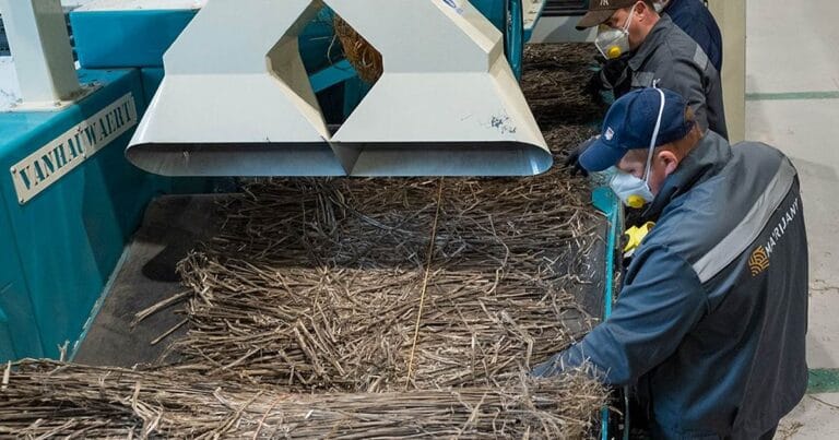 Ukraine hemp processing facility