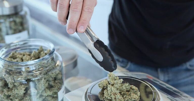 Cannabis law reform support