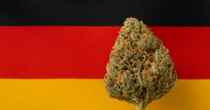 medical-cannabis-germany Medical cannabis in Germany
