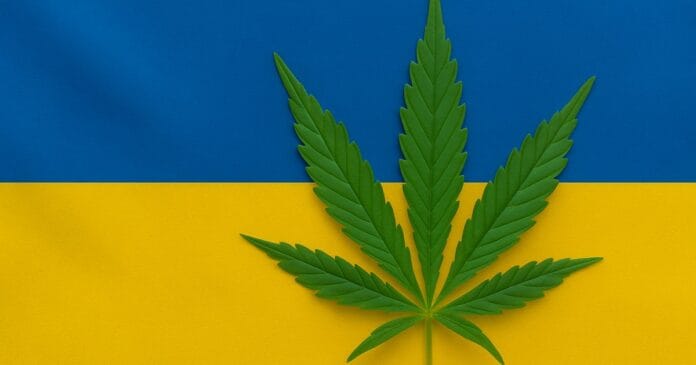 medical-cannabis-ukraine Medical cannabis in Ukraine