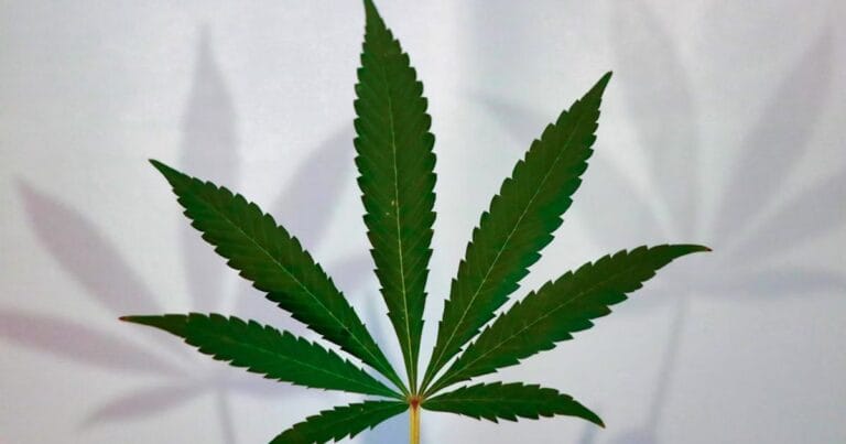 Medical cannabis in Texas