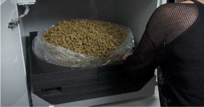 Survey on cannabis decontamination