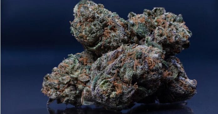 Medical cannabis in Oklahoma