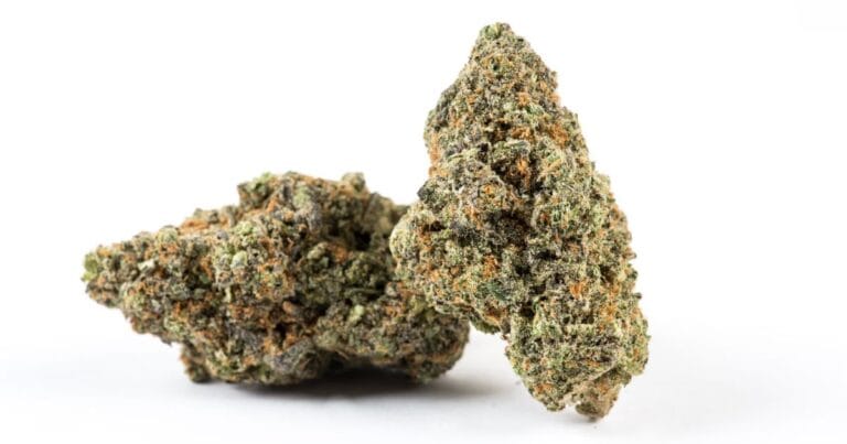 Cannabis in New South Wales