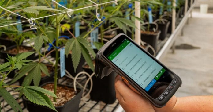 Tracking medical marijuana in Virginia