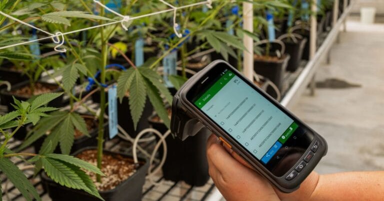 Tracking medical marijuana in Virginia