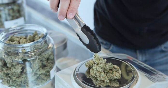 Medical cannabis in NSW