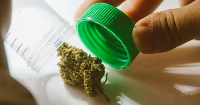 Penington Institute TGA cannabis submission.