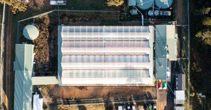 ANTG Armidale NSW cannabis facility.