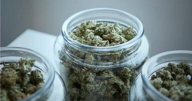 Medical cannabis in New Jersey.