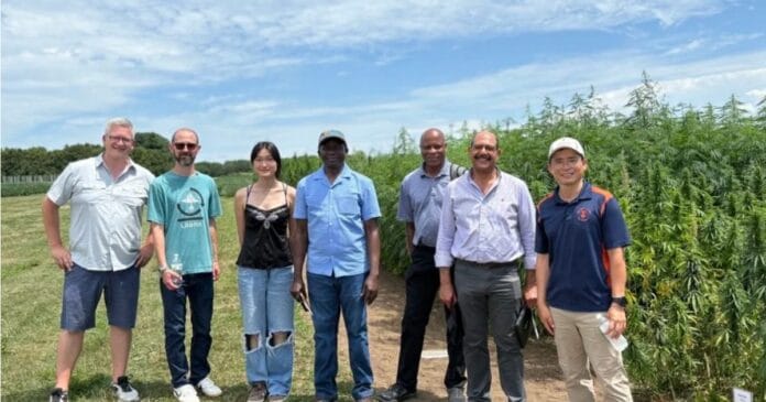 Hemp biosolids fertilizer study team