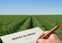 Health Canada Reviews Industrial Hemp Regulations